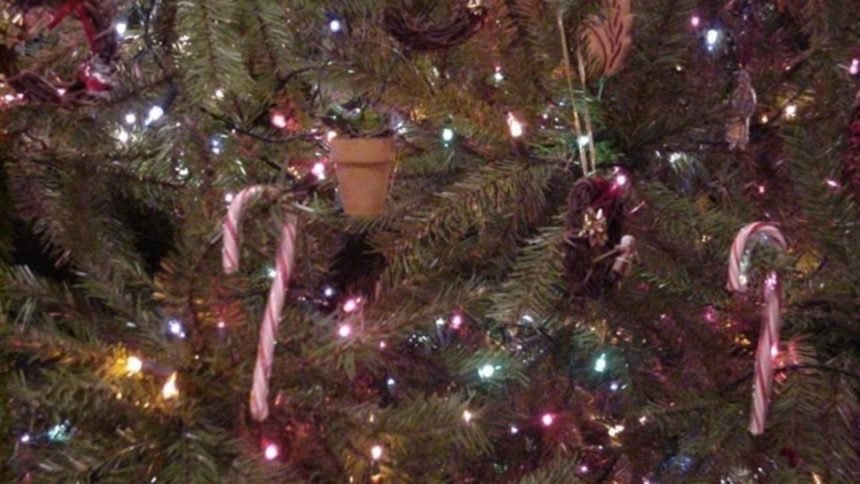 generic-christmas-tree_3571108_ver1.0_1280_720