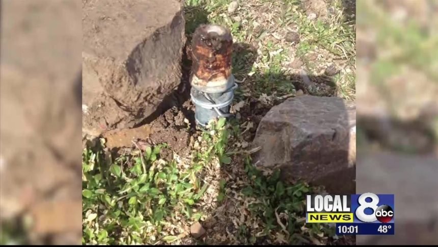 Cyanide bomb kills Pocatello family dog