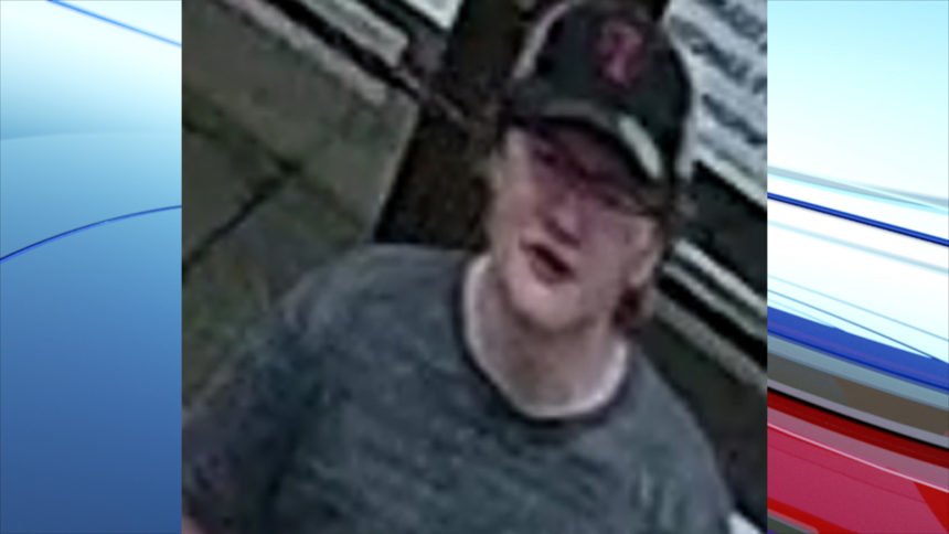 Idaho Falls burglary suspect3