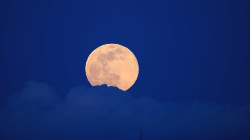 The full pink moon is coming Saturday. Here is how to watch.