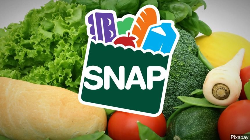 SNAP Logo_ Pixabay