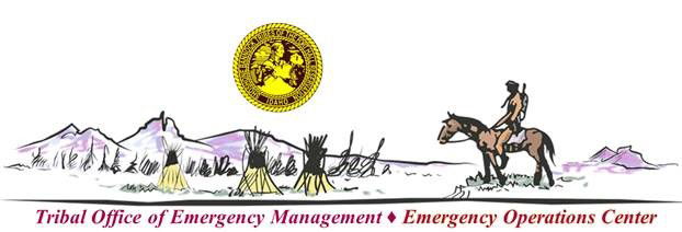 tribal office of emergency operations, ft. hall