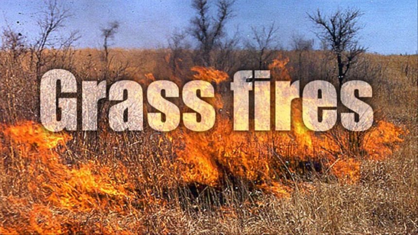 Grass fire logo image