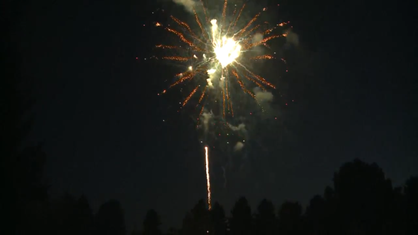 Light the Community fireworks Ammon 20206