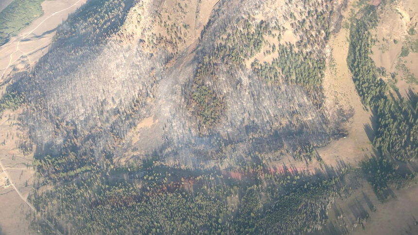 Muldoon Fire 2020_08_19-07.26.26.493-CDT