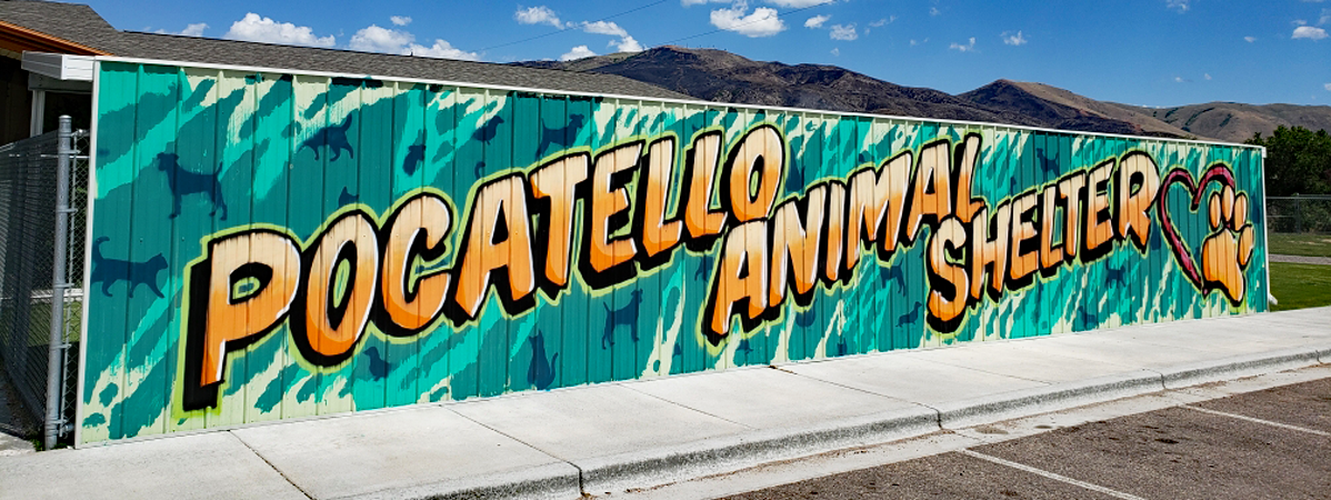 Local artist Josh Pohlman completed a 7 foot 7 inch tall by 47 foot long mural on the west side of the dog runs at the Pocatello Animal Shelter.