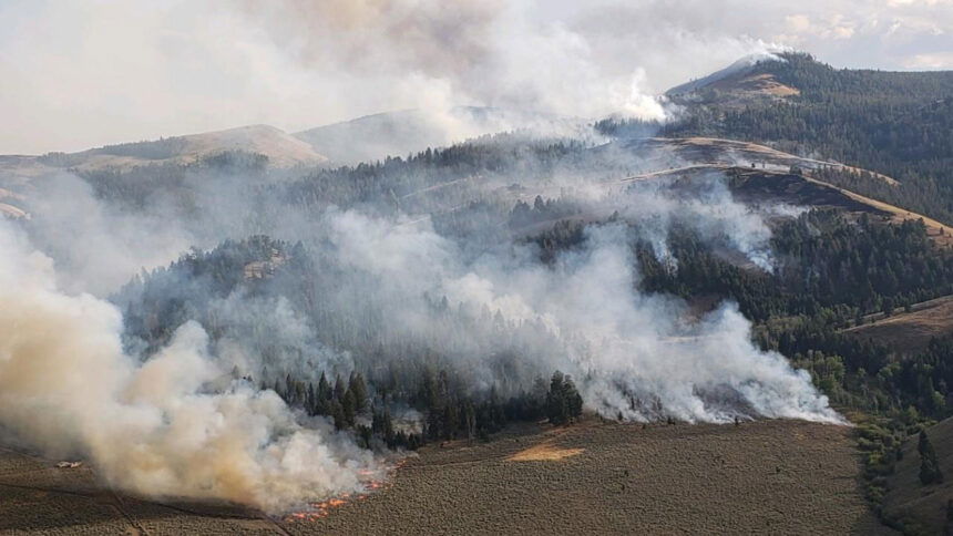 Bear Creek Fire Aerial view of burn out operations on north flank of fire 8:17:2020. Credit- Greg Schenk, NR Team 5 Division Supervisor