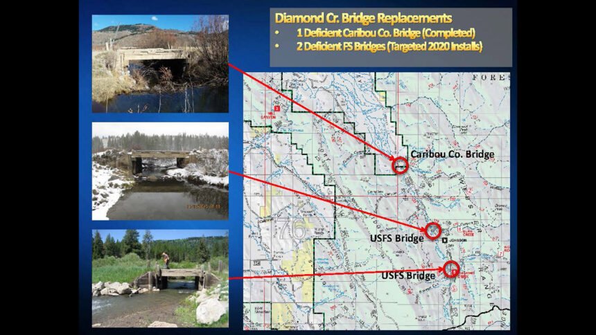 Diamond Creek Bridge Replacement_Page_1