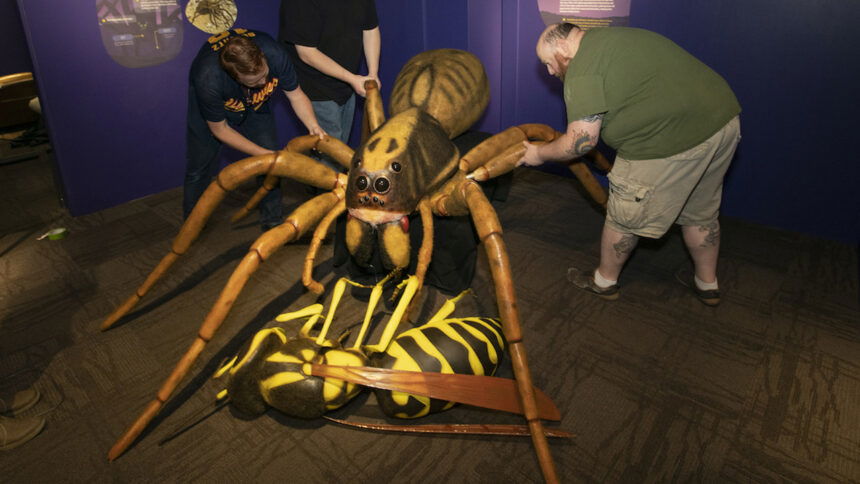 Giant 3-D spider on display as part of the In the Shadows exhibit.
