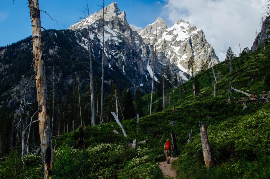 Jenny Lakeshorte Trail from GTNP Facebook Page Aug 20