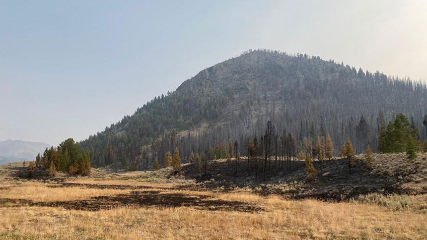 Muldoon Fire August 19 2020_08_20-07.19.56.500-CDT