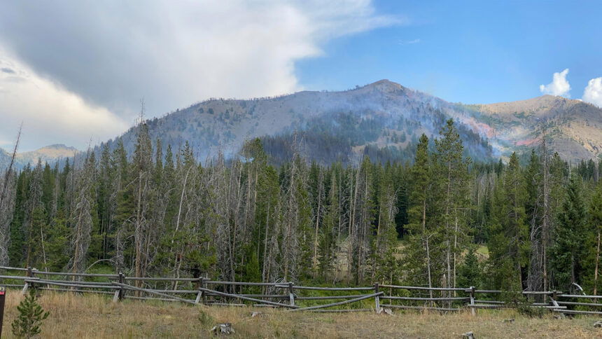 Muldoon Fire August 19