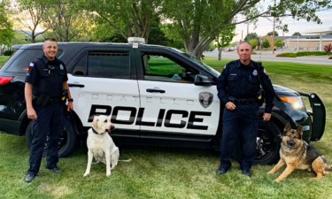 Frank, a Yellow Lab, with Officer Dane Eborn and Berrett, a German Shepherd, with Corporal Joel Weinheimer.