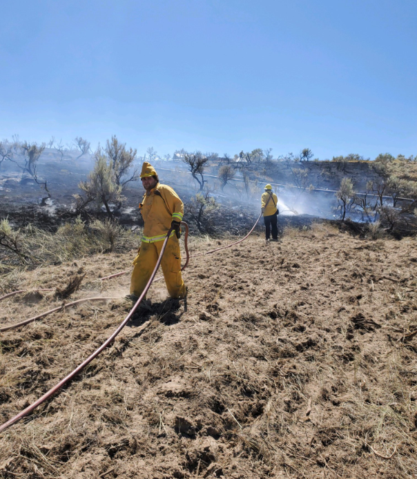 Shelley fire 8-10