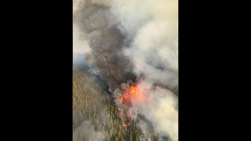 Lone Star Fire Aerial reconnaissance catches several extremely active areas of the fire as small stands of trees torch on September 6. Credit- Paul Swenson, Operations Section Chief