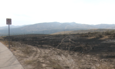 Aftermath from Monday's brush fire across from Alvin Ricken Drive