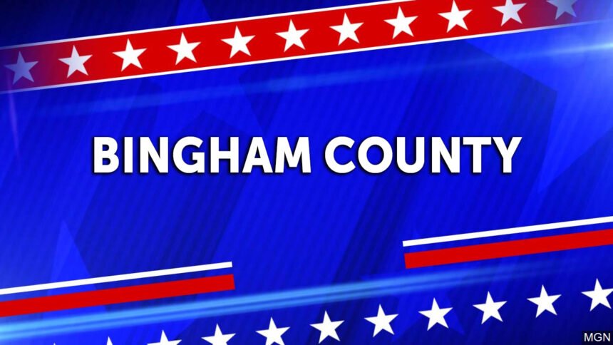 2020 Voter Bingham County