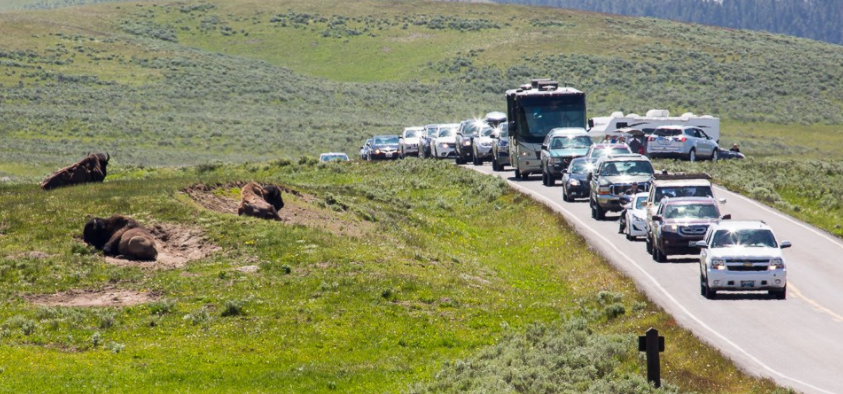 Hayden Valley traffic jam NPS-Neal Herbert