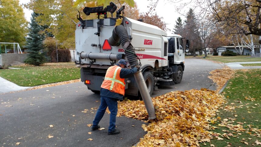 Idaho Falls city leaf collection 2