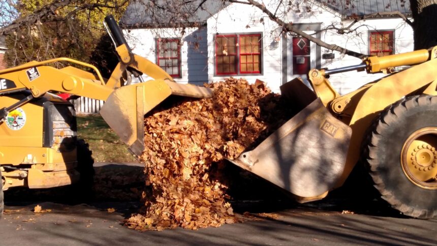 Idaho Falls city leaf collection