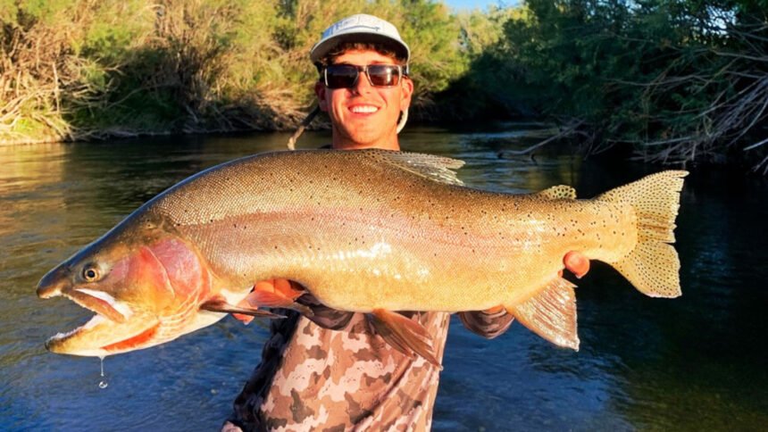 Nate Burr of Rexburg, ID hoists at 31-inch Yellowstone Cutthroat Trout from the Snake River, clinching the newest Idaho catch:release state record fish.