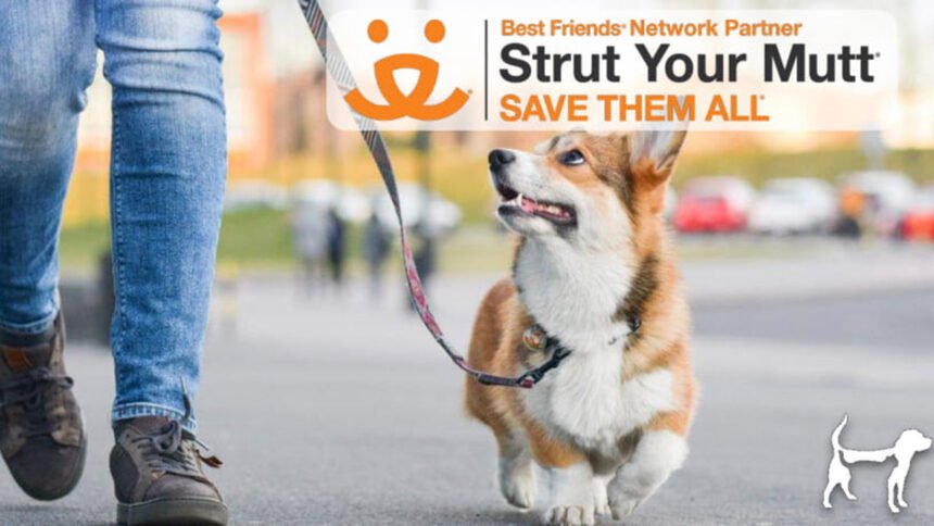 Strut Your Mutt Day