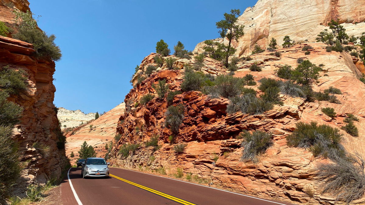 The scenic road winds through Zion National park, in Utah on August 26, 2020. (Photo by Daniel SLIM / AFP) (Photo by DANIEL SLIM/AFP via Getty Images)
