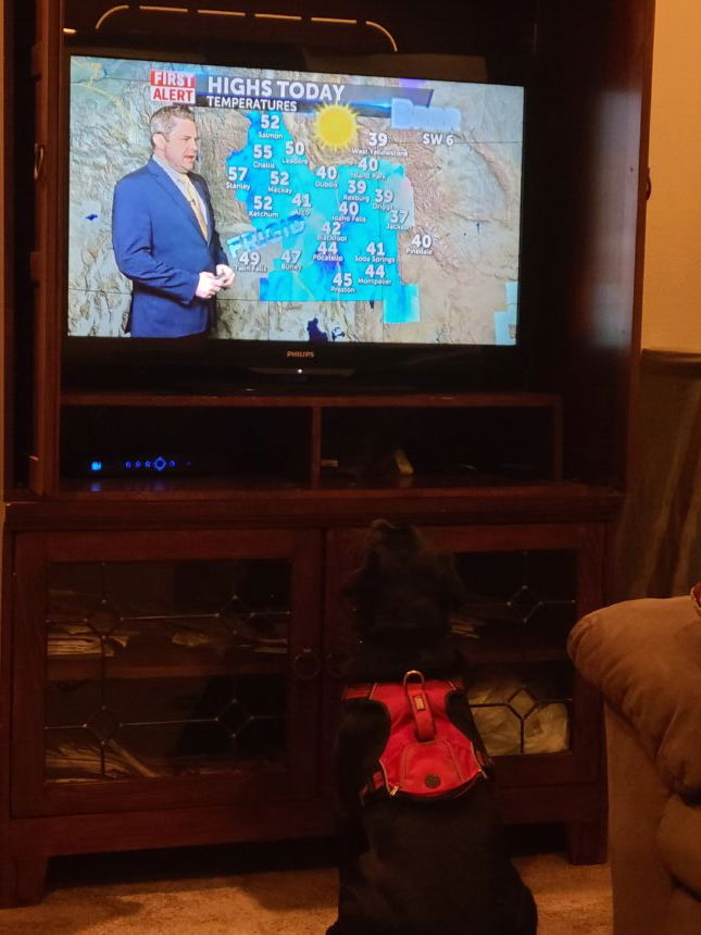rosie watches