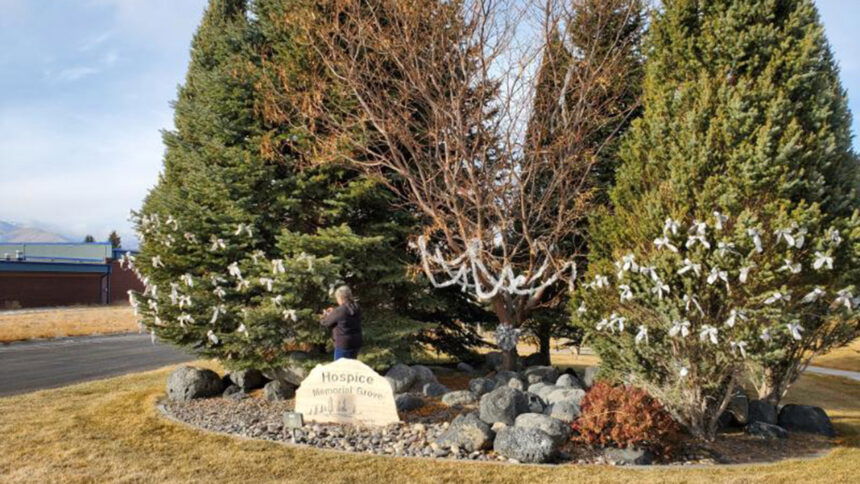 Memorial Trees honor COVID-19 deaths in Southeast Idaho