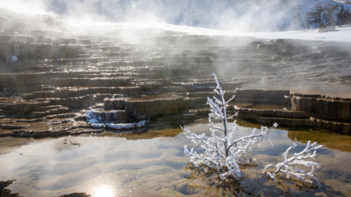 A busy but typical Geological Month in Yellowstone Park