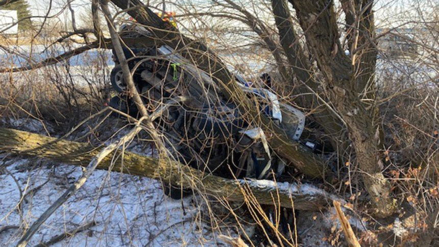 N5thW_Vehicle in Tree1