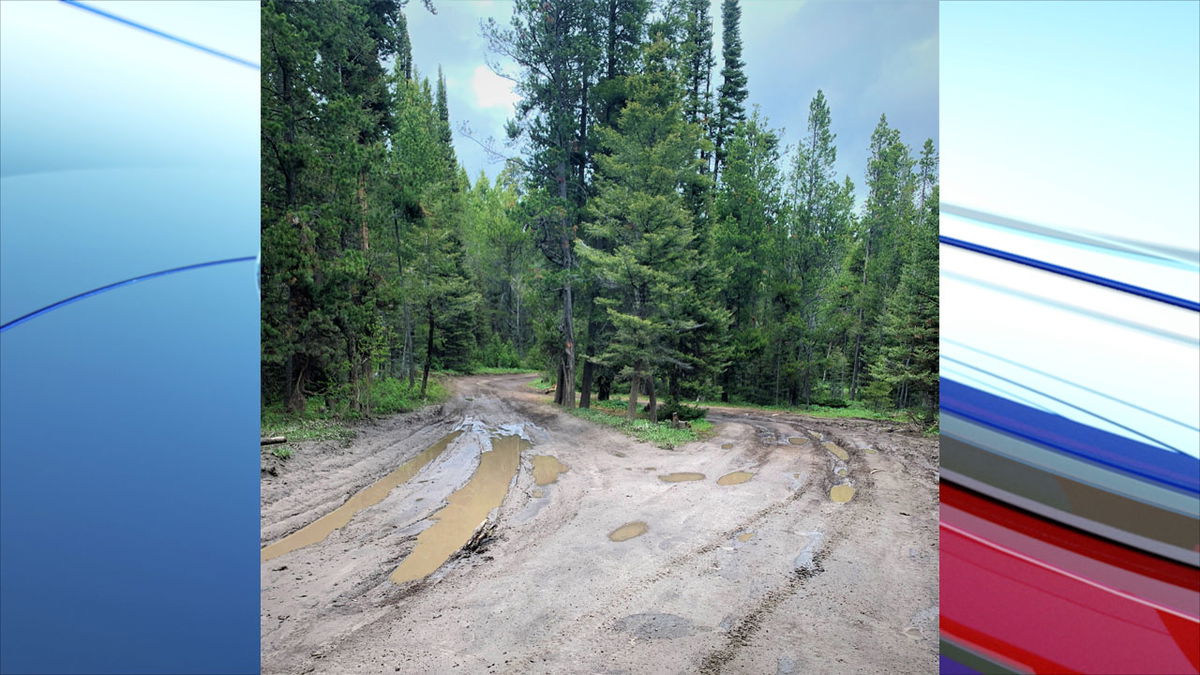 Example of road conditions accessing Packsaddle Lake