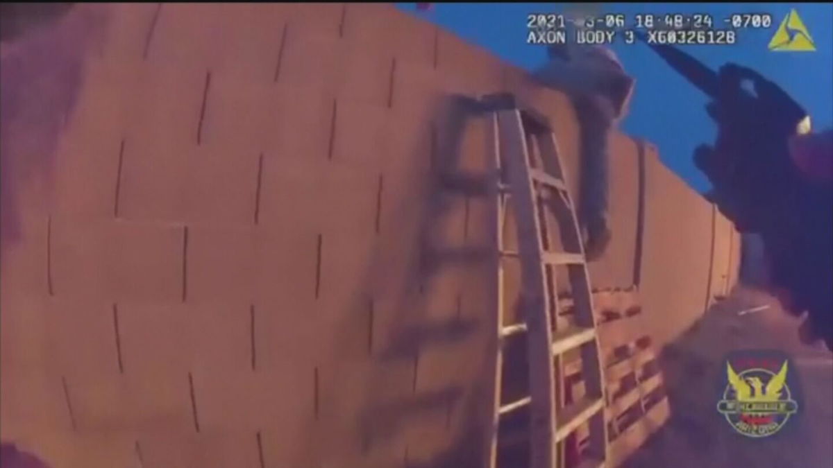 A couple of Phoenix police officers jumped into action, lifting the kids over a backyard wall.