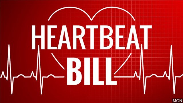 heart beat bill ga