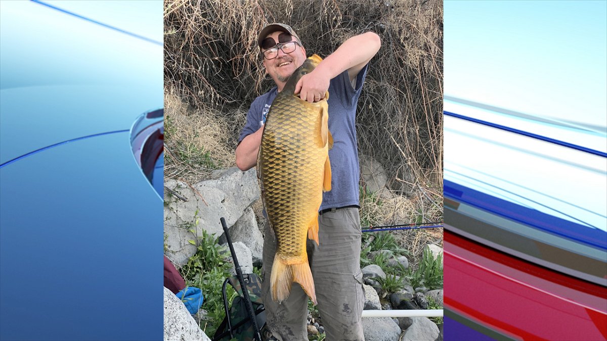 Henry Charlier of Boise, Idaho hoists a 34.0-pound Common carp caught from the Snake River below C.J. Strike Reservoir. The large carp was big enough to land a new rod/reel certified weight state record