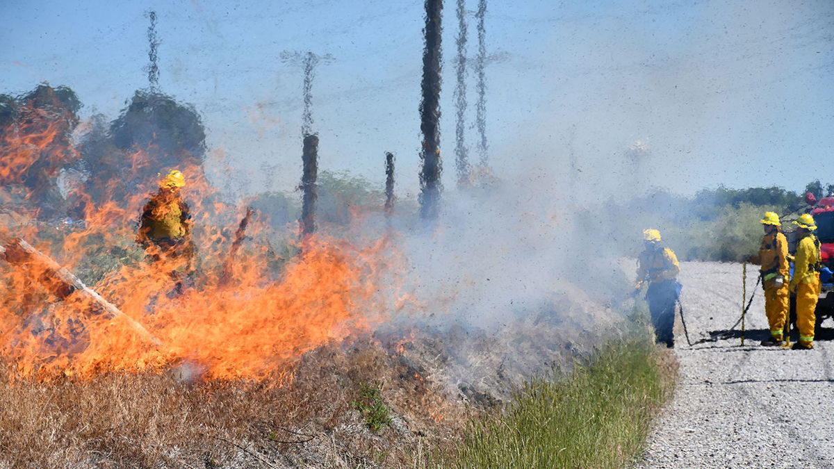 2018 IFFD controlled burn at Snake River Landing.