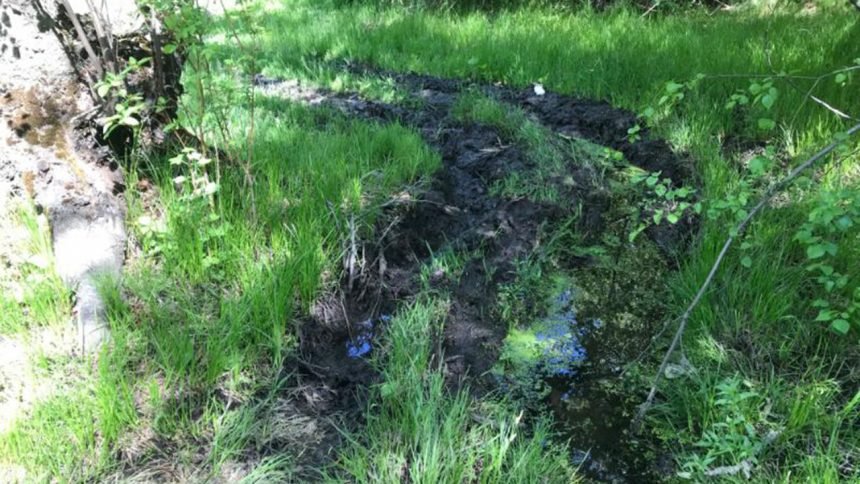 Problems continue at East Fork of Rock Creek in Power County_ruts and erosion