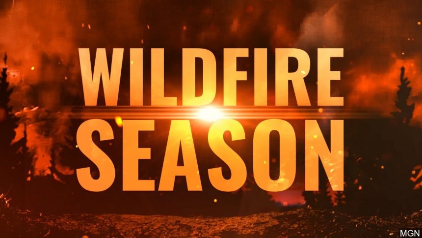 Wildfire Season logo_MGN Online