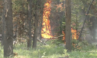 Goose Fire in Ennis, Montana