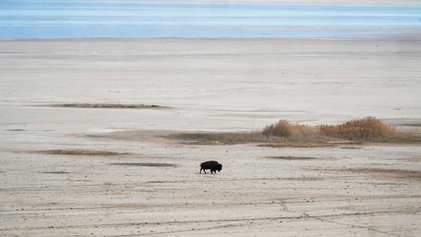 Drought Great Salt Lake