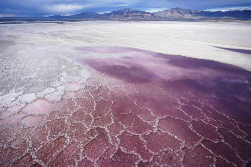 Pictures of the Week-Global-Photo Gallery
