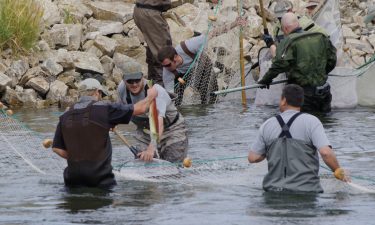 Fishermen