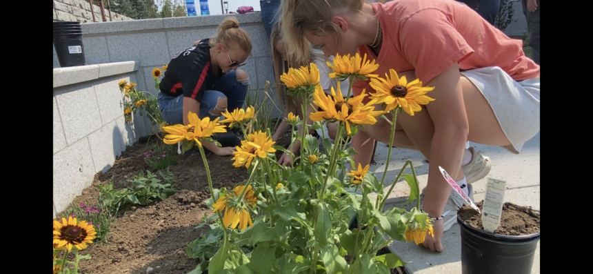 Girls Planting Flowers