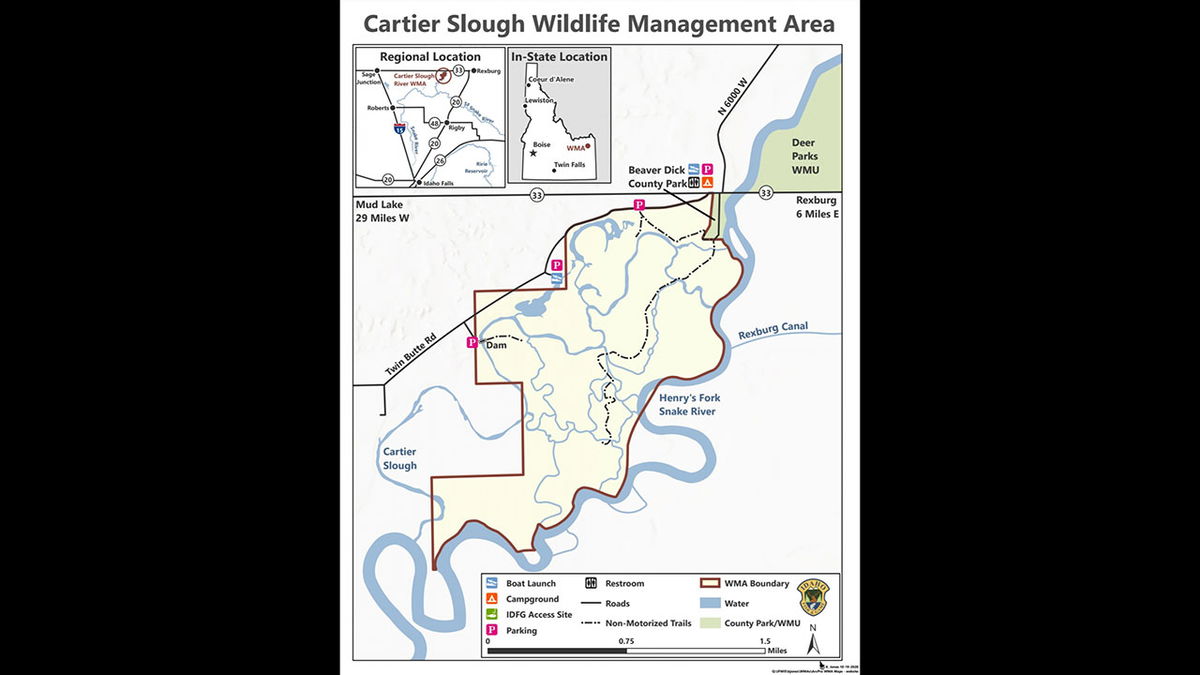 Cartier Slough WMA temporarily closed for habitat restoration