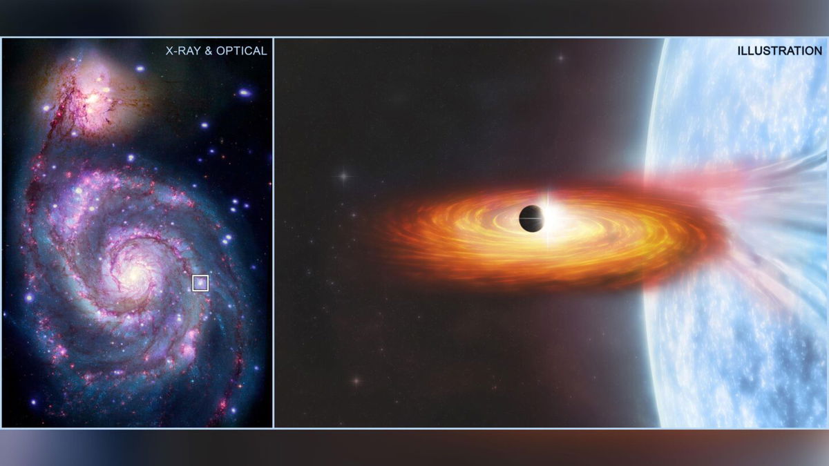 <i>NASA/R. DiStefano et al./Grendler/M. Weiss</i><br/>A composite image contains a box that marks the location of the possible planet candidate.