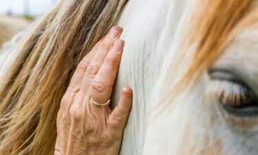 From equine to play: 10 nontraditional therapies