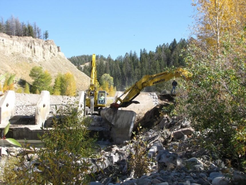 The concrete dam that was removed in 2010 through a partnership effort used to completely block native fish passage to the upper reaches of Spread Creek. [Photo- TU]