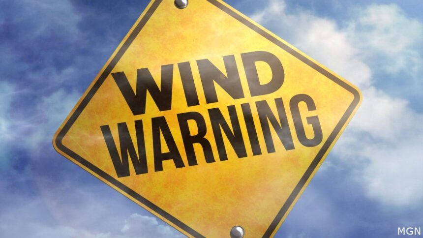 Wind Warning logo_wind logo_high wind logo_MGN