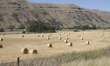 Fewer crops—like onions: How climate change has affected Idaho