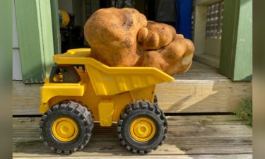 A large potato sits on a toy truck at Donna and Colin Craig-Browns home.